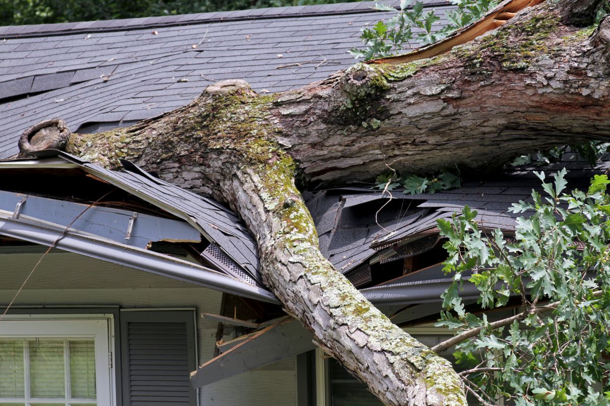 Roof with a storm damage in Woodbury